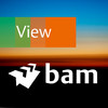 BAM International View