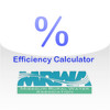 Percent Efficiency Calculator