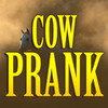 Cow Prank