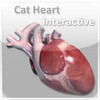 Cat Heart Interactive