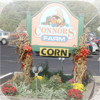 Connors Farm