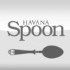 Havana Spoon