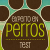 Experto en Perros Test