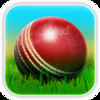 Cricket 3D : World Street Challenge