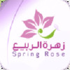 Spring Rose