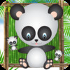 Catch The Pandas - The Falling Animals Puzzle Game