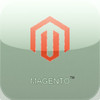 Magento Updater