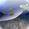 Fish Feast HD