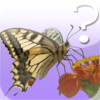 Butterfly Quiz for iPad