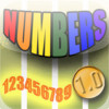 The NUMBERS Game