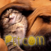 PetCom