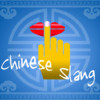 Chinese Slang and Internet Memes