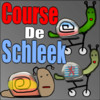 Course de Schleek