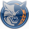 Charlotte Bobcats