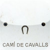 Cami de Cavalls