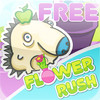 Flower Rush Free