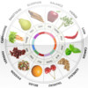 Food Astrology