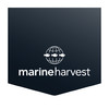 Marine Harvest Recipes