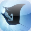 Manta Rays HD