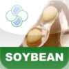 Soybean Stoller