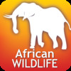 Audubon African Wildlife