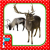 A North Pole Camera for iPhone - Merry Christmas App from Santa