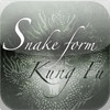 Shaolin Kung Fu Snake Form