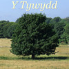 Y Tywydd - Welsh Language Weather Forecast