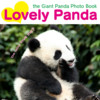 Lovely Panda photo