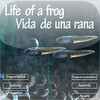 Life of a frog/Vida de una rana