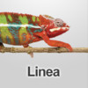 HPM Linea Colour Selector