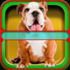 Dog Horoscope Booth: Fun games with your Pet