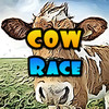 Cow Race