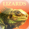 Lizards & Geckos Bible