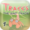 Traces - The Salt Trade