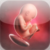 myBaby Illustrated HD