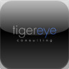 Tiger Eye Consulting