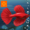 Fish Tycoon