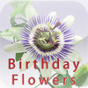 Birthday Flowers eBook