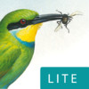 Sasol eBirds of Southern Africa LITE