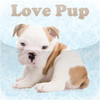 Love Pup Dog Wallpapers