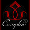 Cevaplar