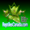 Reptiles Canada Forums