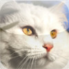 Cats Puzzle HD