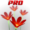 LiveDOF Pro - Depth of Field Creator