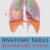 Anatomy Skills - Respiratory System