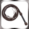 Whip for iPad