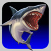 Shark Attack HD