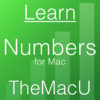 Learn - Numbers Edition