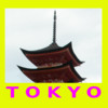 Tokyo Fun Tour